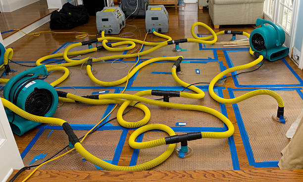 Professional Water Extraction technician working in Portsmouth, IA
